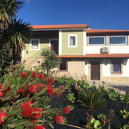 فندق Quinta De Mocamedes - Turismo De Habitacao فوزيلا المظهر الخارجي الصورة