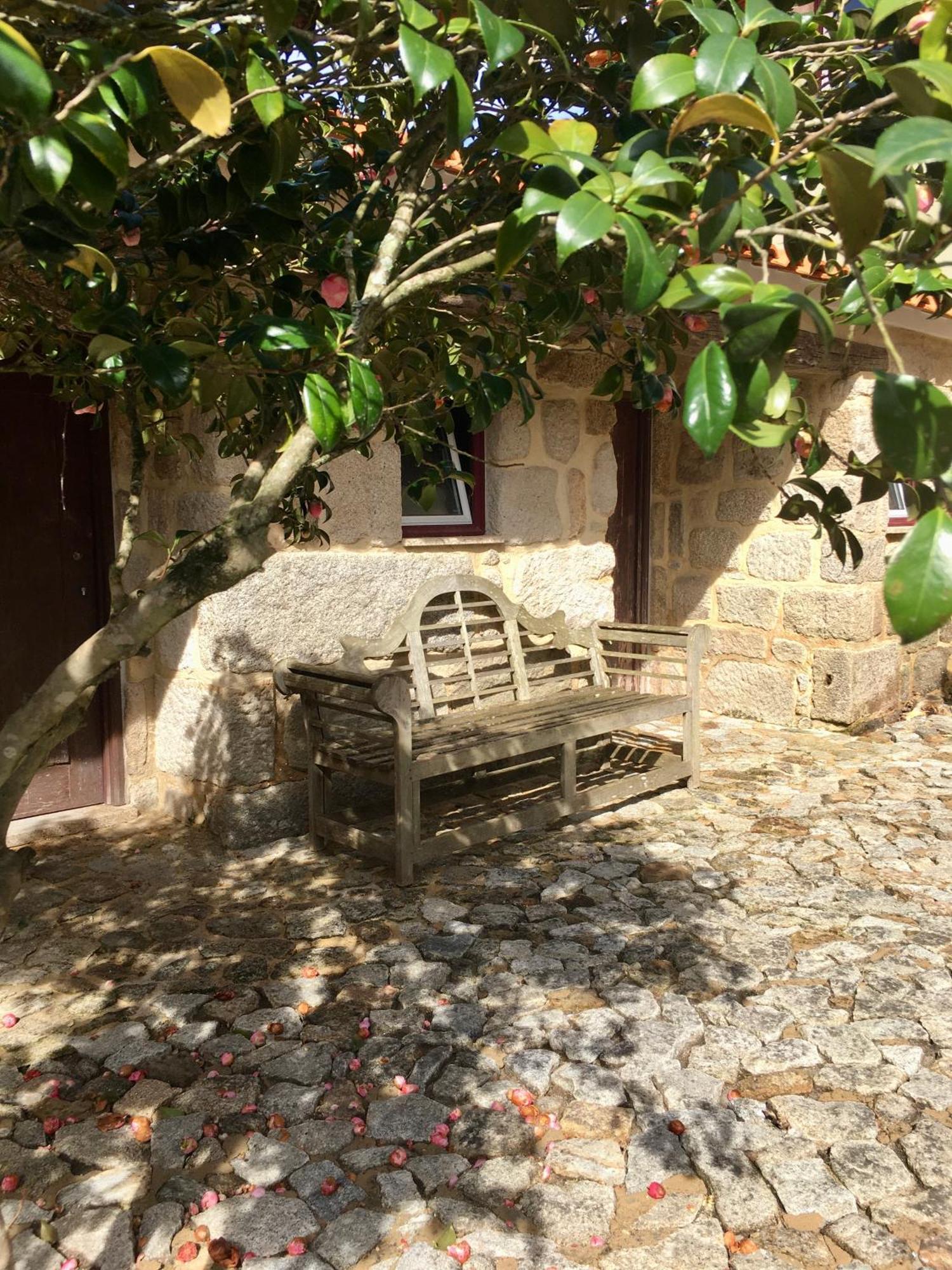 فندق Quinta De Mocamedes - Turismo De Habitacao فوزيلا المظهر الخارجي الصورة