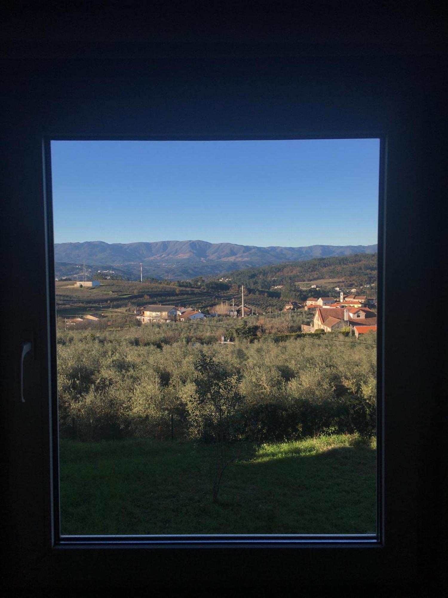 فندق Quinta De Mocamedes - Turismo De Habitacao فوزيلا المظهر الخارجي الصورة