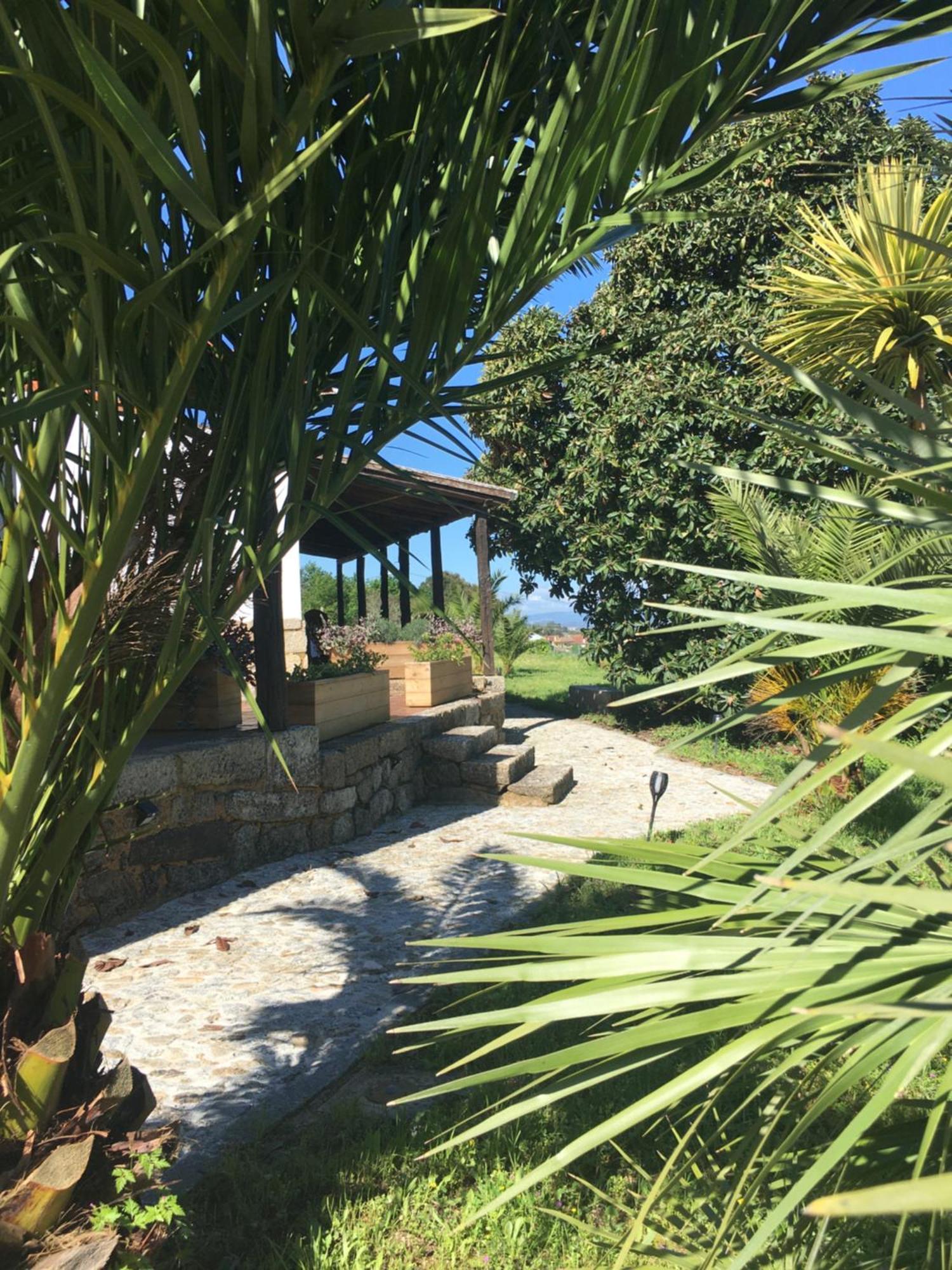 فندق Quinta De Mocamedes - Turismo De Habitacao فوزيلا المظهر الخارجي الصورة