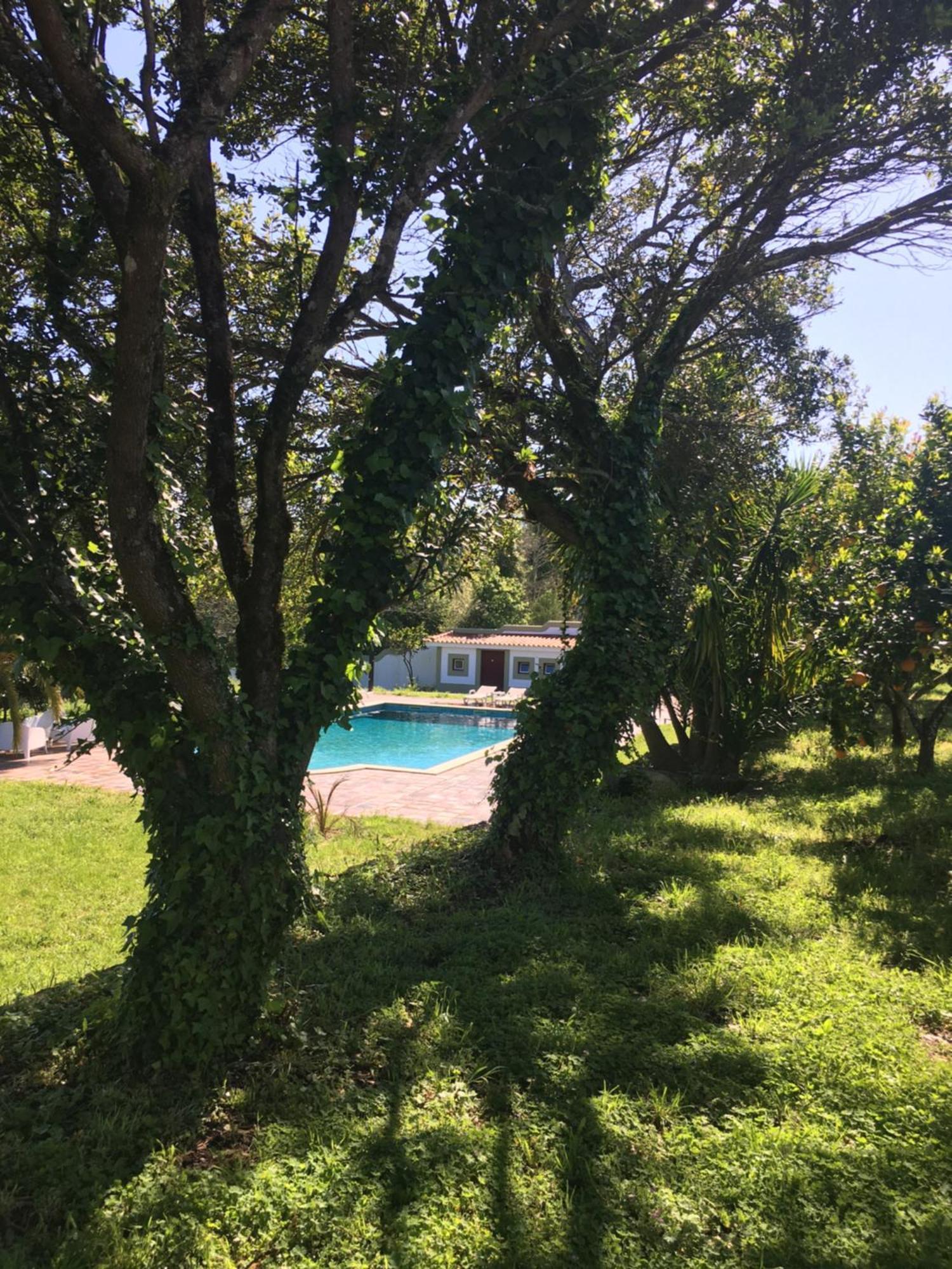 فندق Quinta De Mocamedes - Turismo De Habitacao فوزيلا المظهر الخارجي الصورة