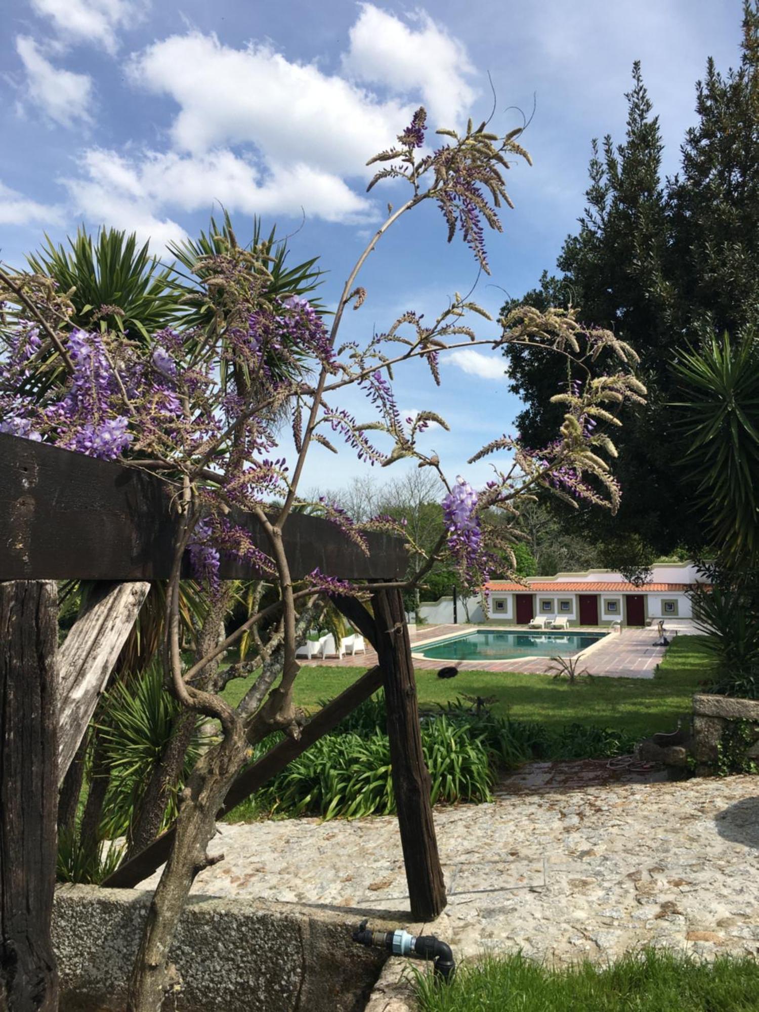 فندق Quinta De Mocamedes - Turismo De Habitacao فوزيلا المظهر الخارجي الصورة